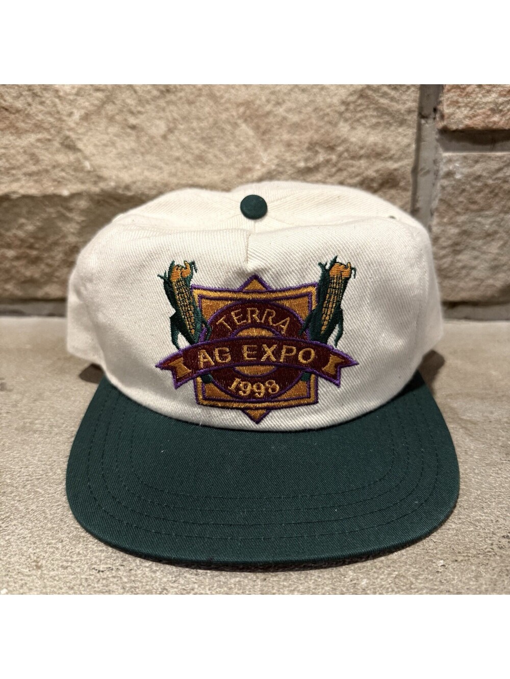 Vintage 1998 Terra Ag Expo Hat Snapback Cap Corn Agriculture Farming Made in USA